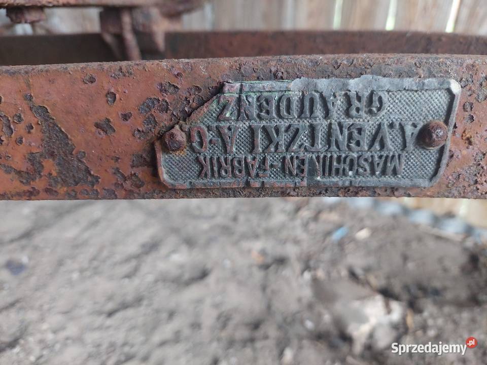 Stary gryf konny nieuszkodzony lubelskie