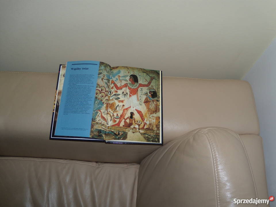 Dusze zwierząt Nicholas J Saunders Rok wydania 1996 mazowieckie