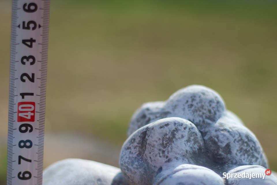 Figura ogrodowa baranek Goliszów