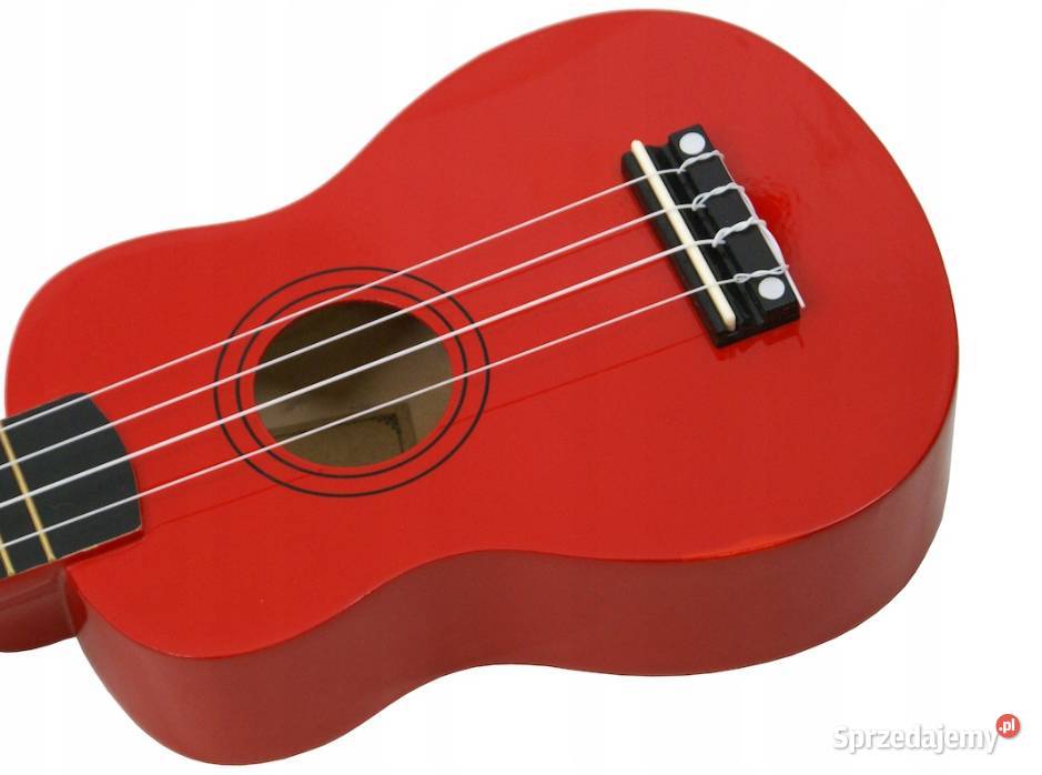Drewniane UKULELE ECHO AŻ 11 KOLORÓW Okazja Nowy Sącz sprzedam