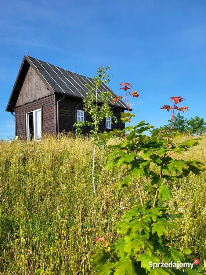 Działka z charakterem domek z duszą na Mazurach Elganowo sprzedam
