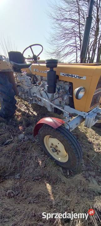 Ciągnik Ursus C330 M 1700 Mtg Czarna Kolonia