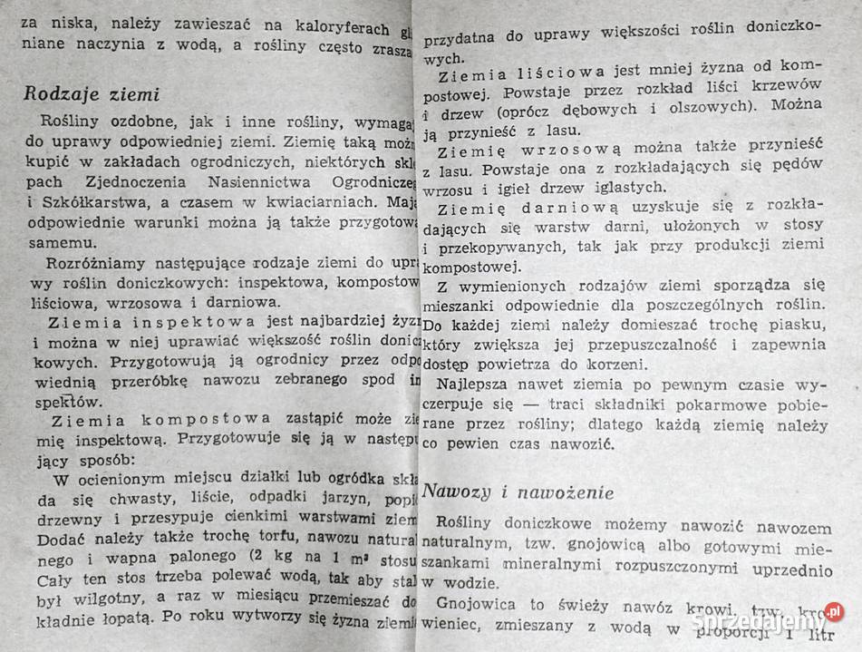 Kaktusy i inne Aleksandra KonarskaSzubska Chełm