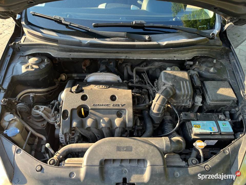 Kia Ceed Rybnik