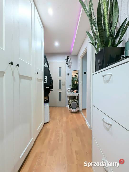 Mieszkanie 3 pokoje 472m balkon 2 piwnice balkon Strzelce Opolskie