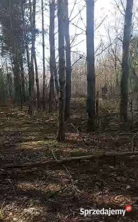 Sprzedam działkę lubelskie Ostrów