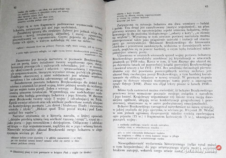 Pisarz na obczyźnie Red T Bujnicki W Wyskiel Pozostałe Chełm