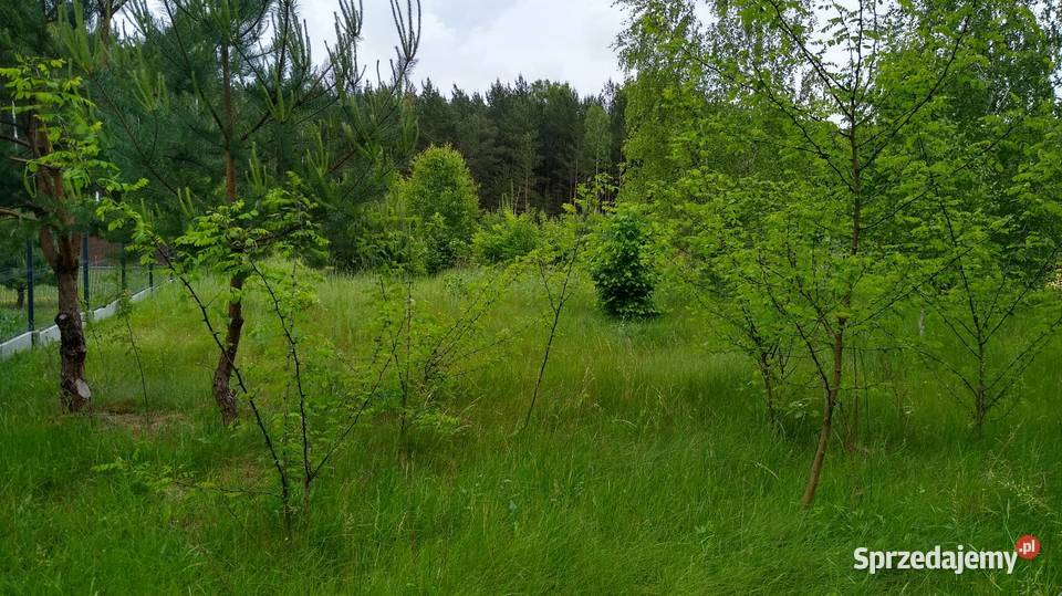 Działka rekreacyjna sprzedam łódzkie Trzepnica