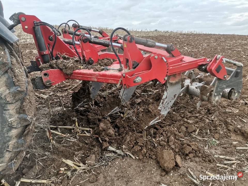 Głębosz Jympa 5 zębów nieuszkodzony Suwałki