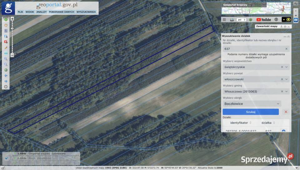 Łąka i las na sprzedaż Boczkowice gm Włoszczowa sprzedam