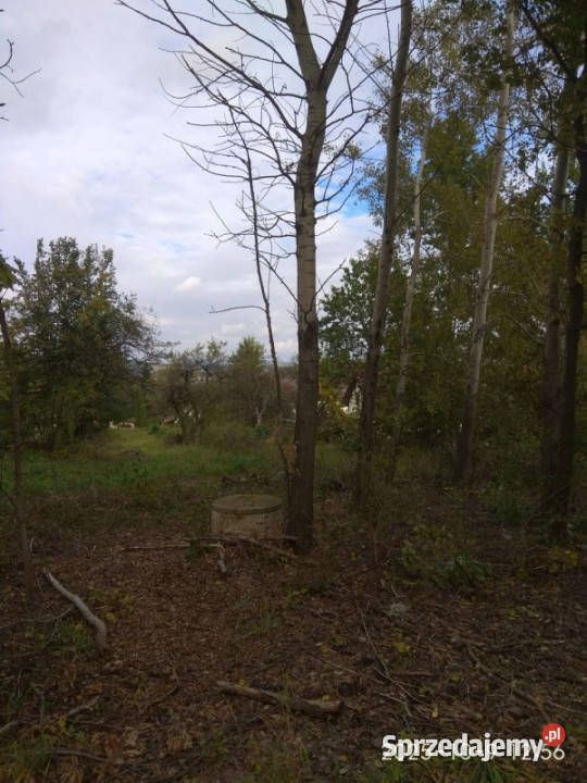 Działka budowlana inwestycyjna 31a malowniczy Lipinki
