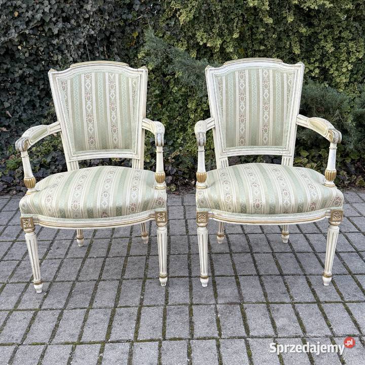 ARTexpert Para Francuskich foteli Ludwik XVI Dobrzany