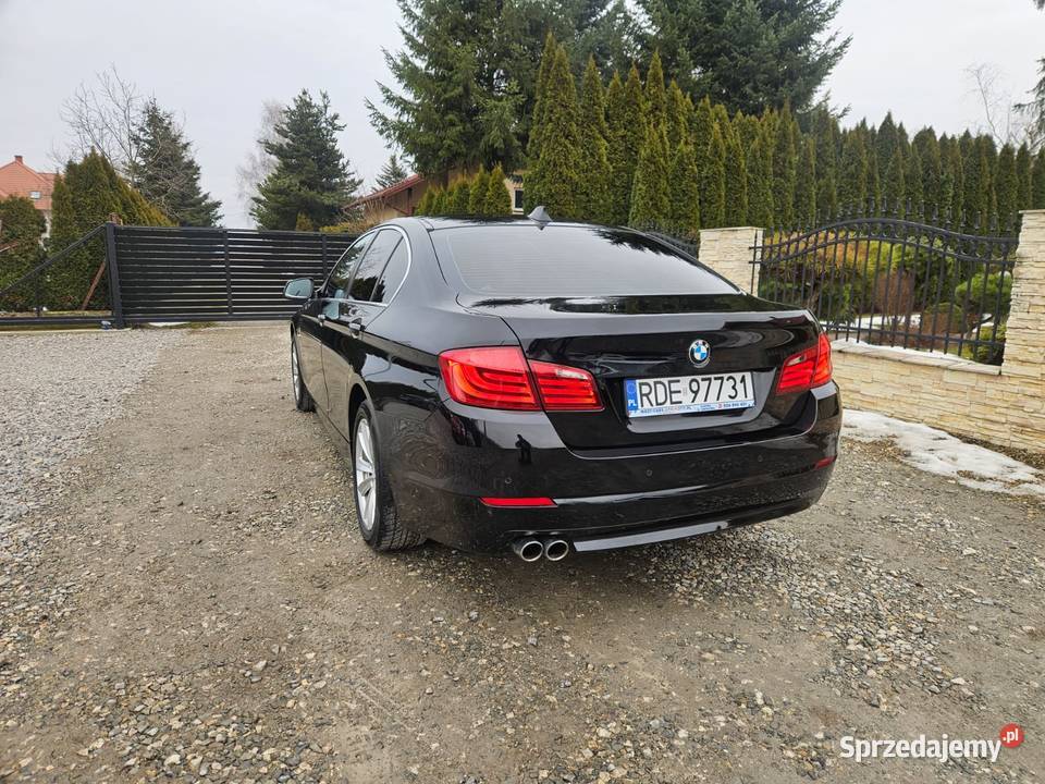 BMW 5 Navi biksenon świeżo wymianie rozrządu