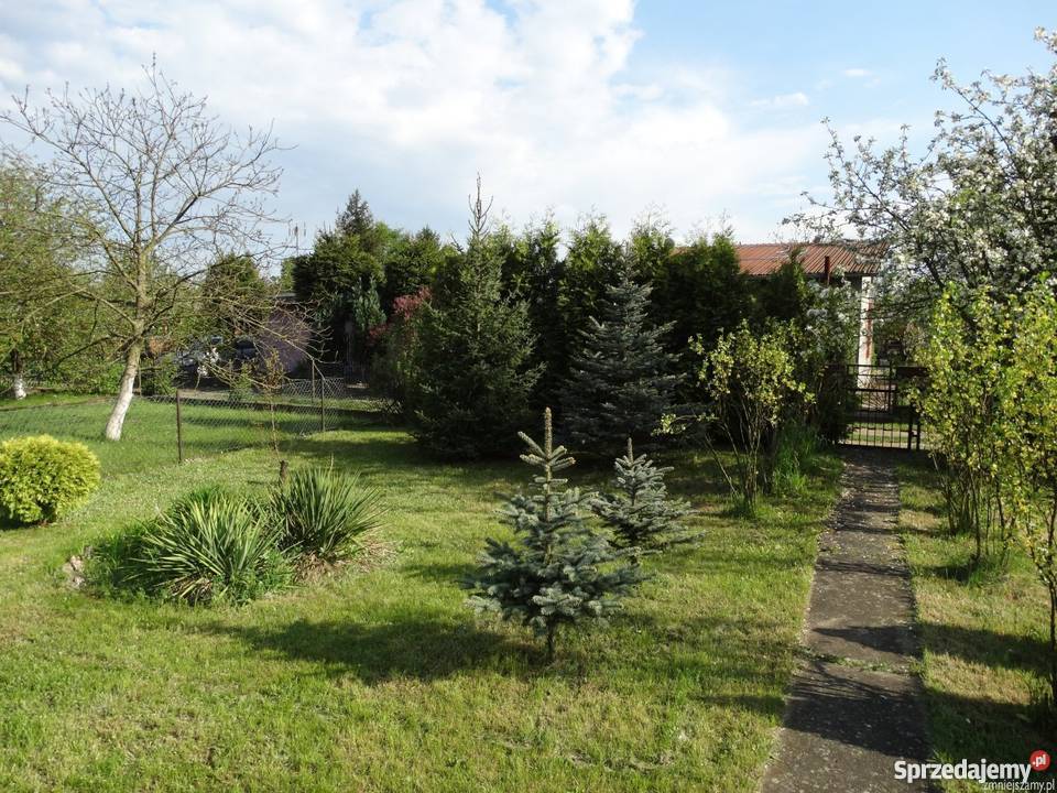 Działka ROD Smochowice Poznań Poznań