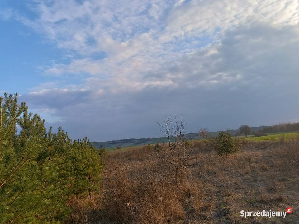 Działka budowlana Bocheniec sprzedam
