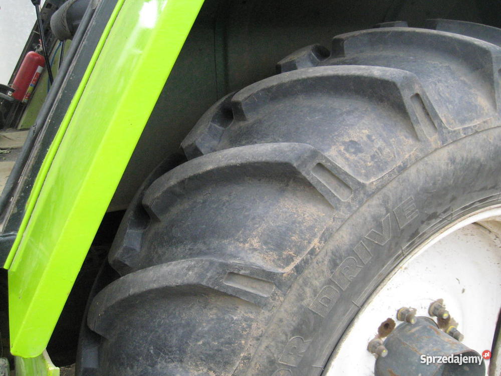 Forschnit Suponin sprzedam