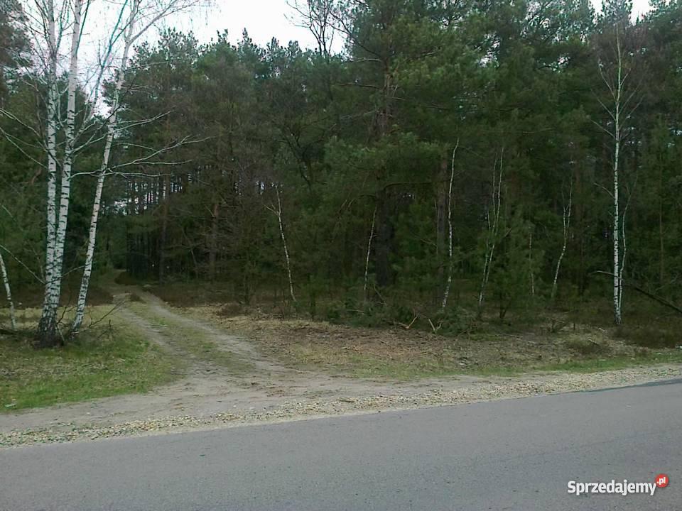 LAS 25 000 m2 STANISŁAWÓW TURZE PAPIERNIA Stanisławów sprzedam