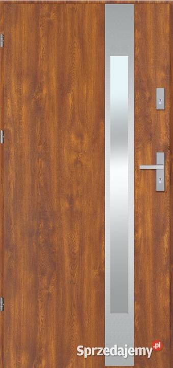 Drzwi nowe THERMO GETYNGA INOX Częstochowa