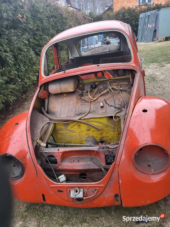 Garbus 1970r Pozostałe sprzedam