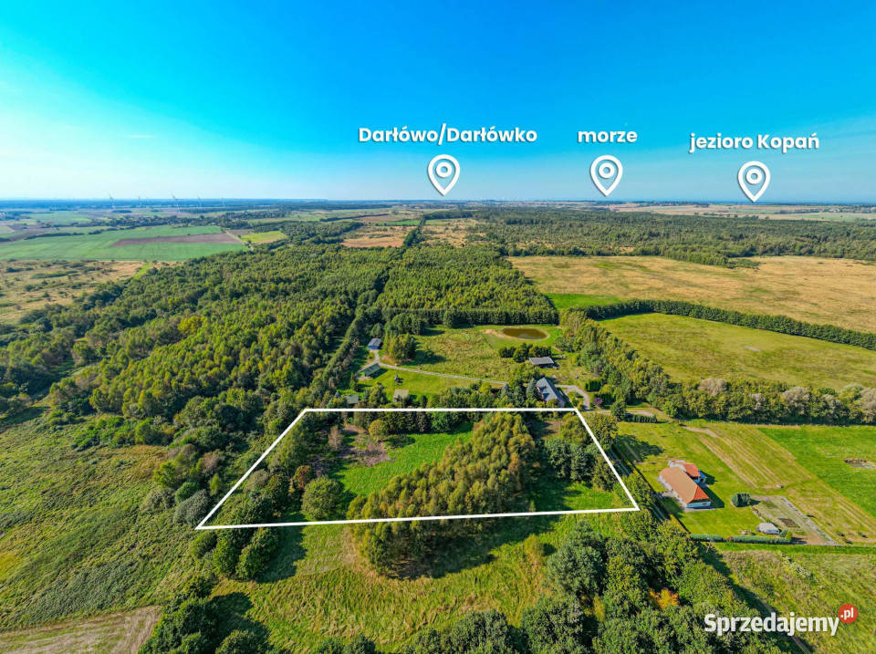 Działka budowlana z laskiem