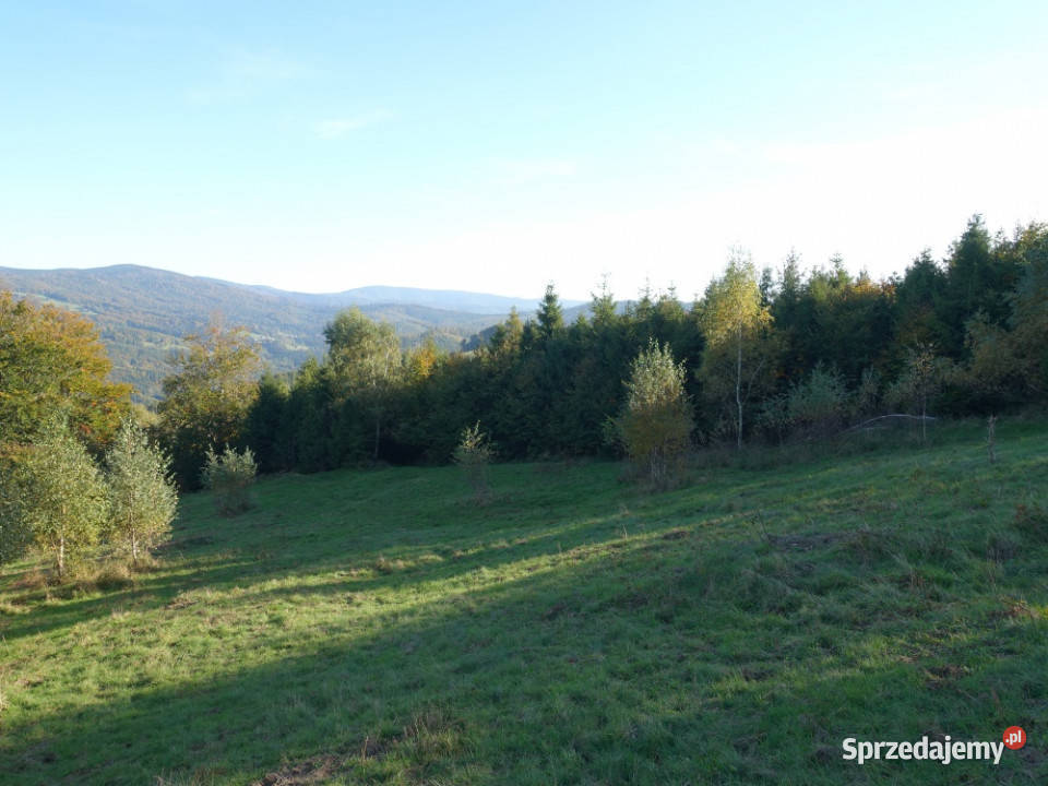 Brenna 253 ha działka inwestycyjna wyciągu Sprzedaż