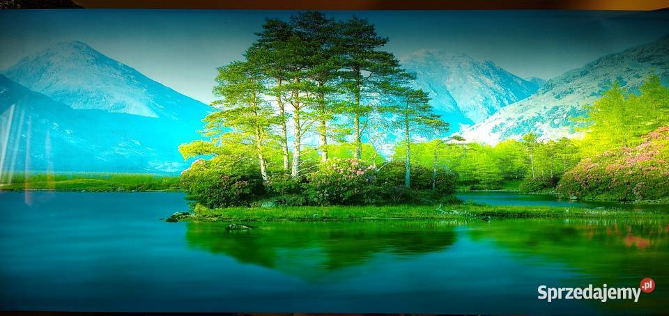 Obraz retro z dźwiękiem świecący 8widoków palmy