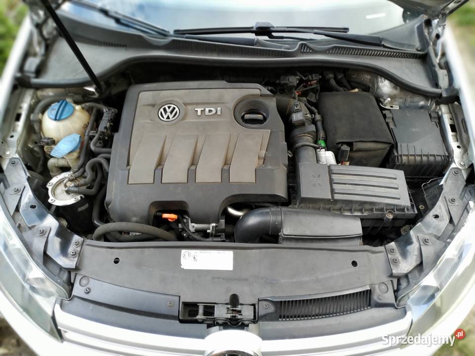 VW GOLF VI 16 TDI 2010 kurtyny powietrzne Kiekrz