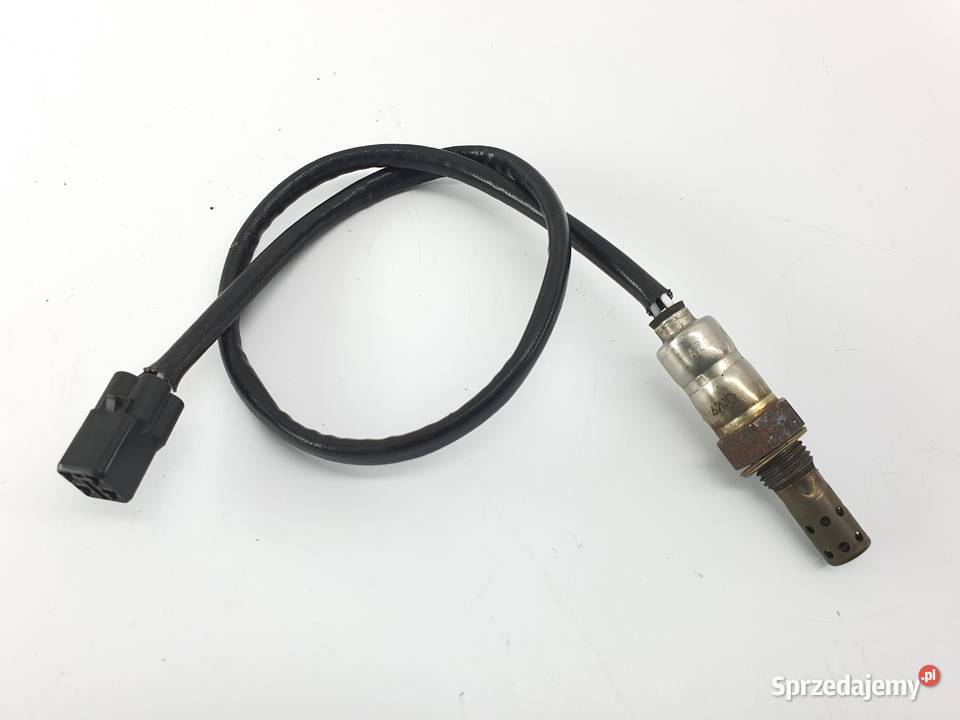 Sonda Triumph Tiger Explorer 1200 Motoryzacja Łódź