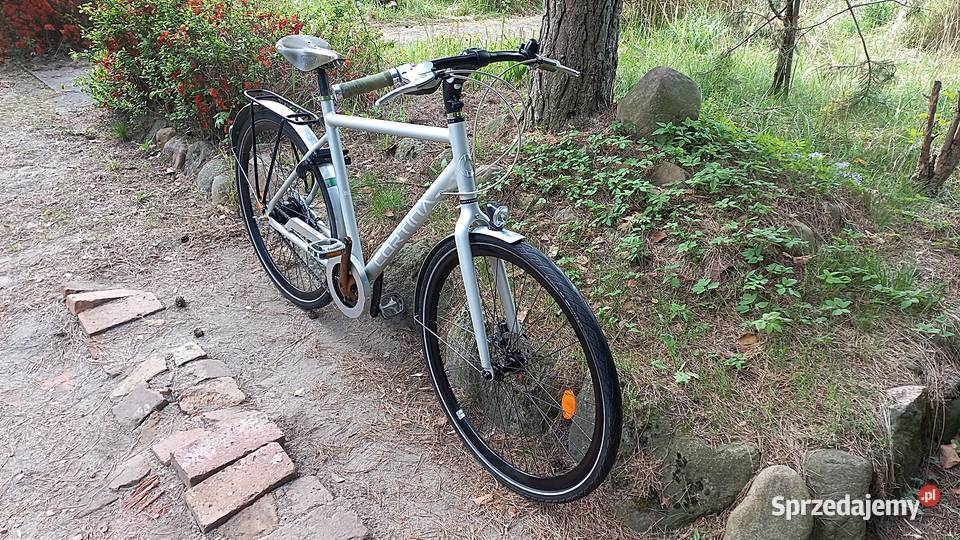 Designerski Perłowy Rower Miejski Męski Cortina Wołów