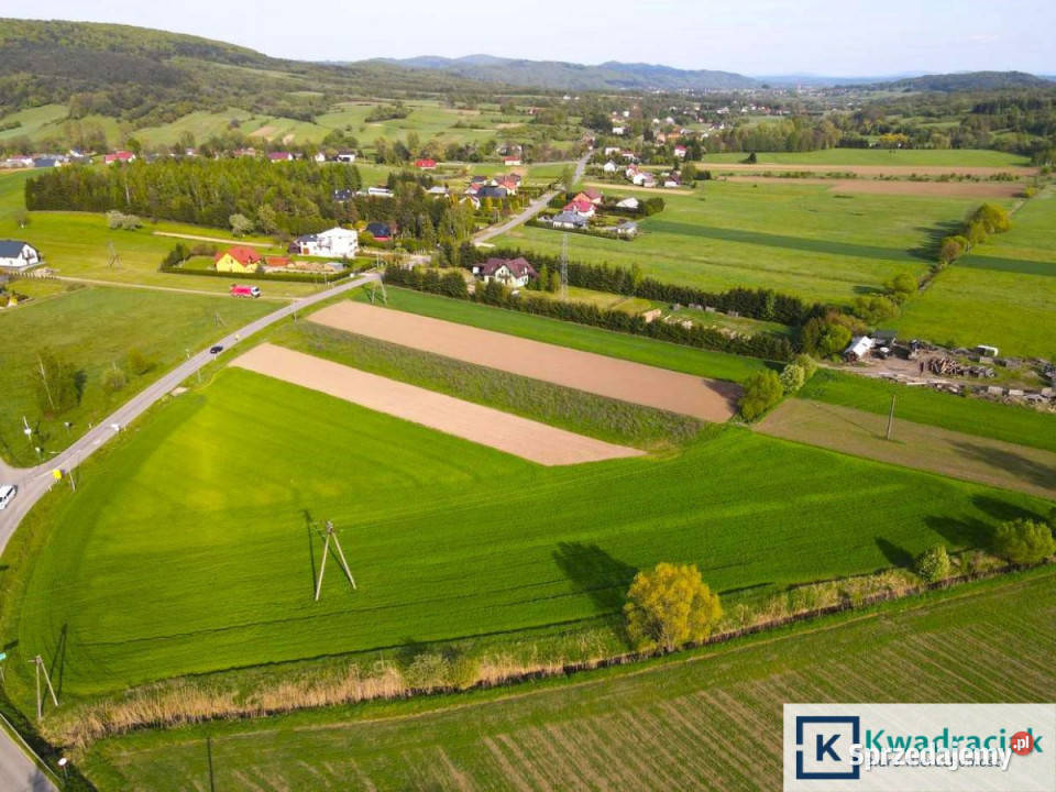 Działka Srogów Górny 2790m2 Grunty i działki