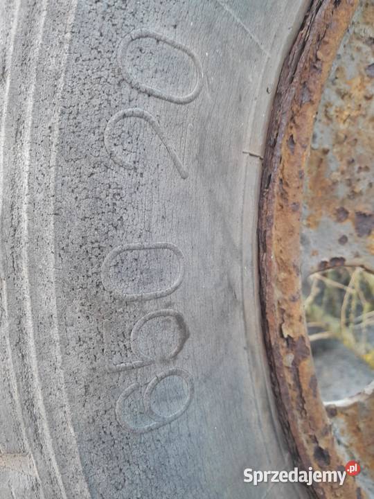 Sprzedam co na zdjęciach Kłodawa sprzedam