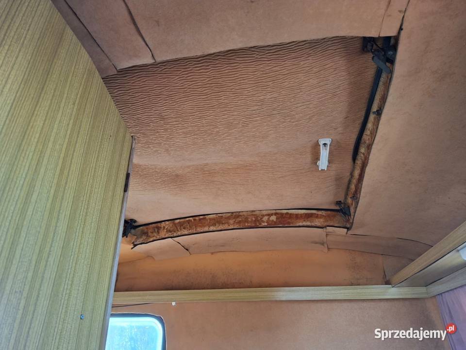 Niewiadow n126 oryginalny Polanów sprzedam