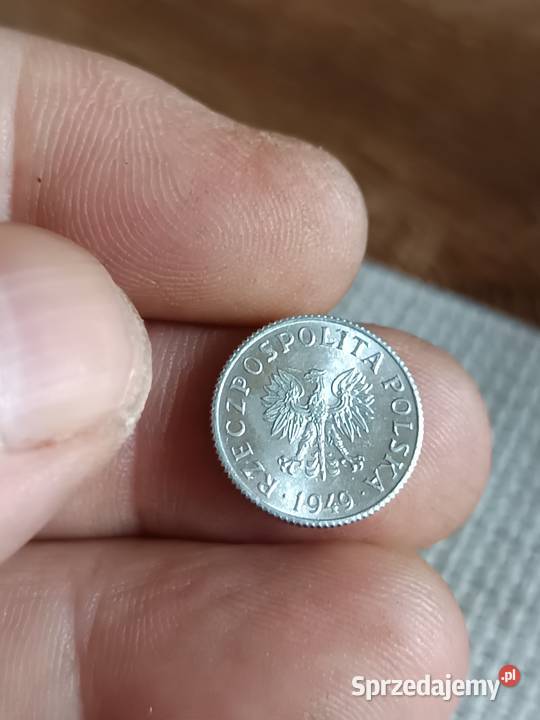 Sprzedam 1 grosz 1949 r Numizmatyka sprzedam