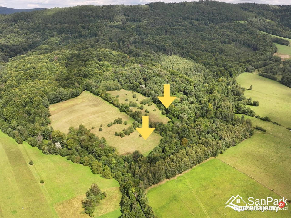 Działka 7746m2 Łobozew Górny sprzedam