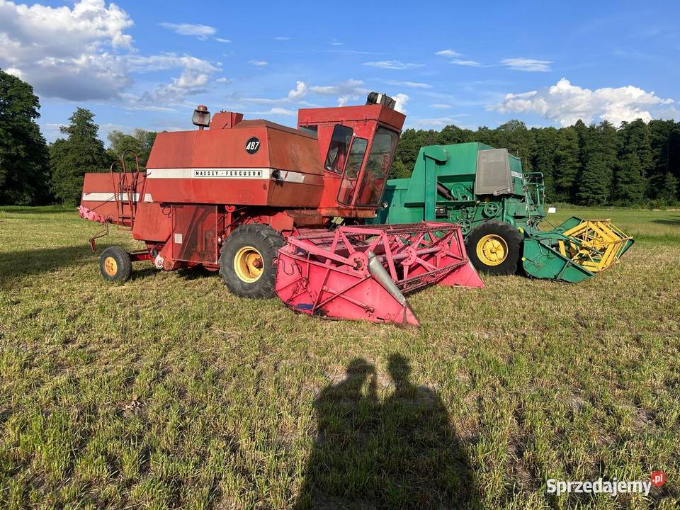 Kombajn zbożowy mf 487 z sieczkarnią Massey Ferguson Garwolin
