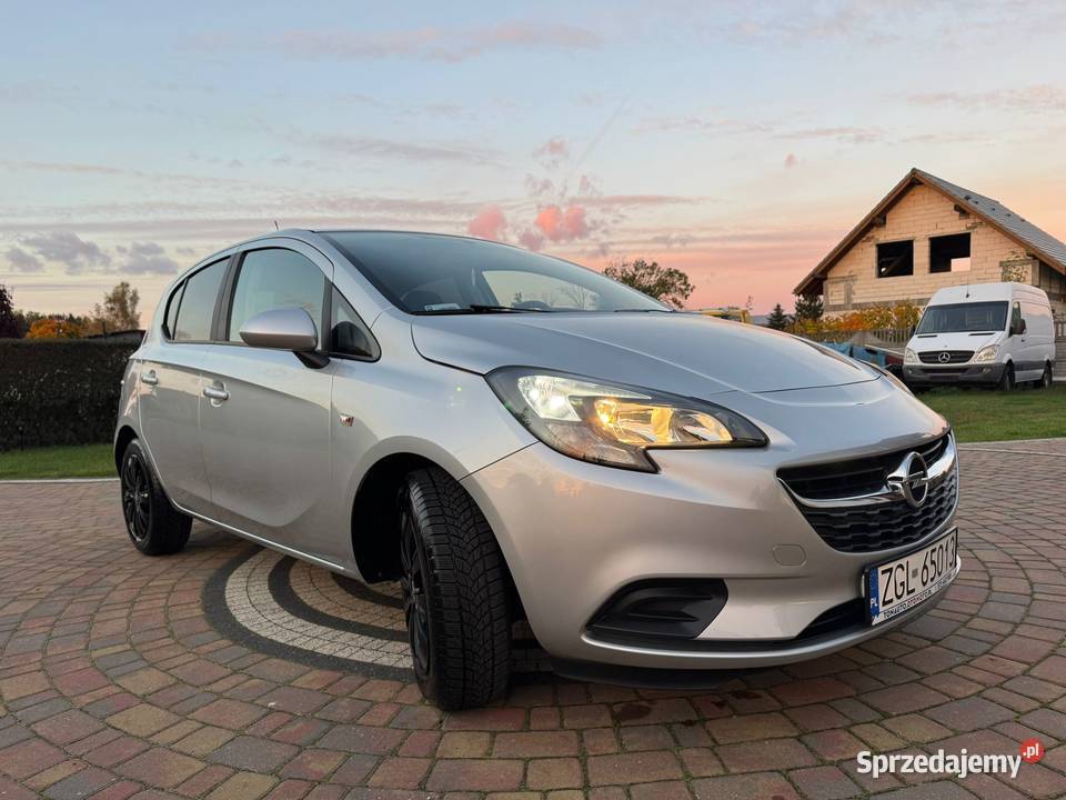 POLSKI SALON NIEWIELKI PRZEBIEG BEZWYPADKOWY Szczecin