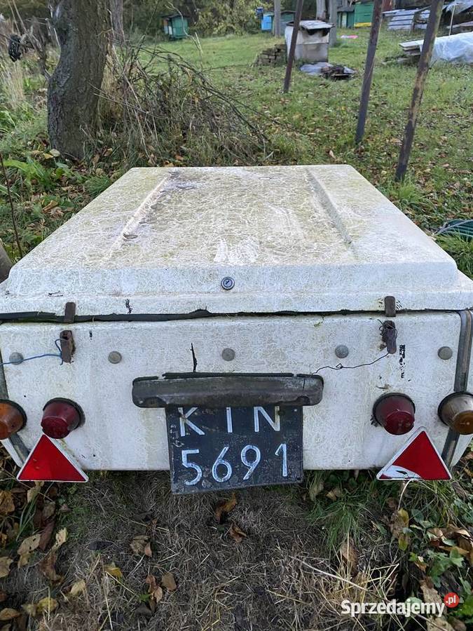 Przyczepa lekka N250 Niewiadów 250kg sprzedam