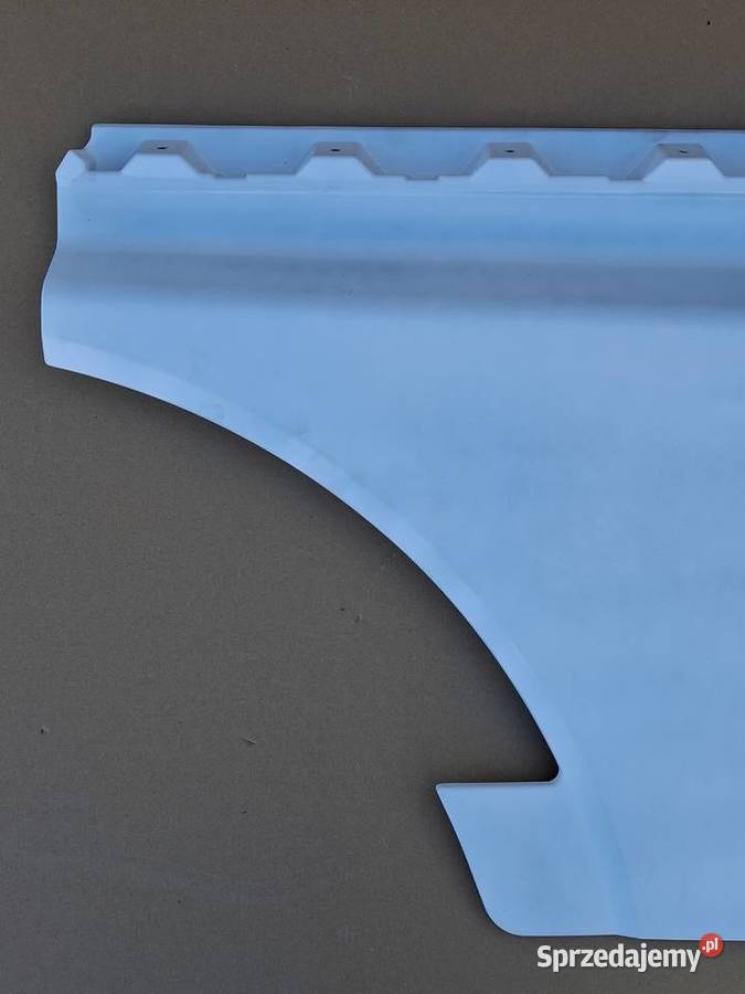 MAN TGX TG3 PRZEDŁUŻENIE DRZWI PRAWYCH PRAWE lubuskie Bieleń