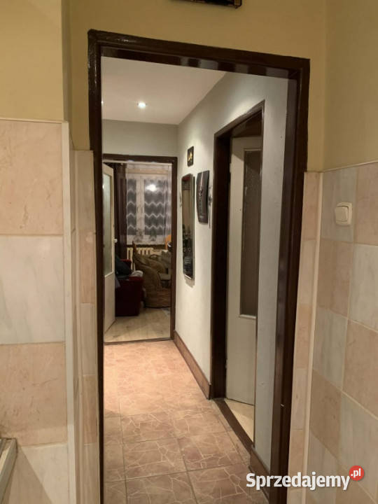 Mieszkanie 43 metry 9767zł/m2