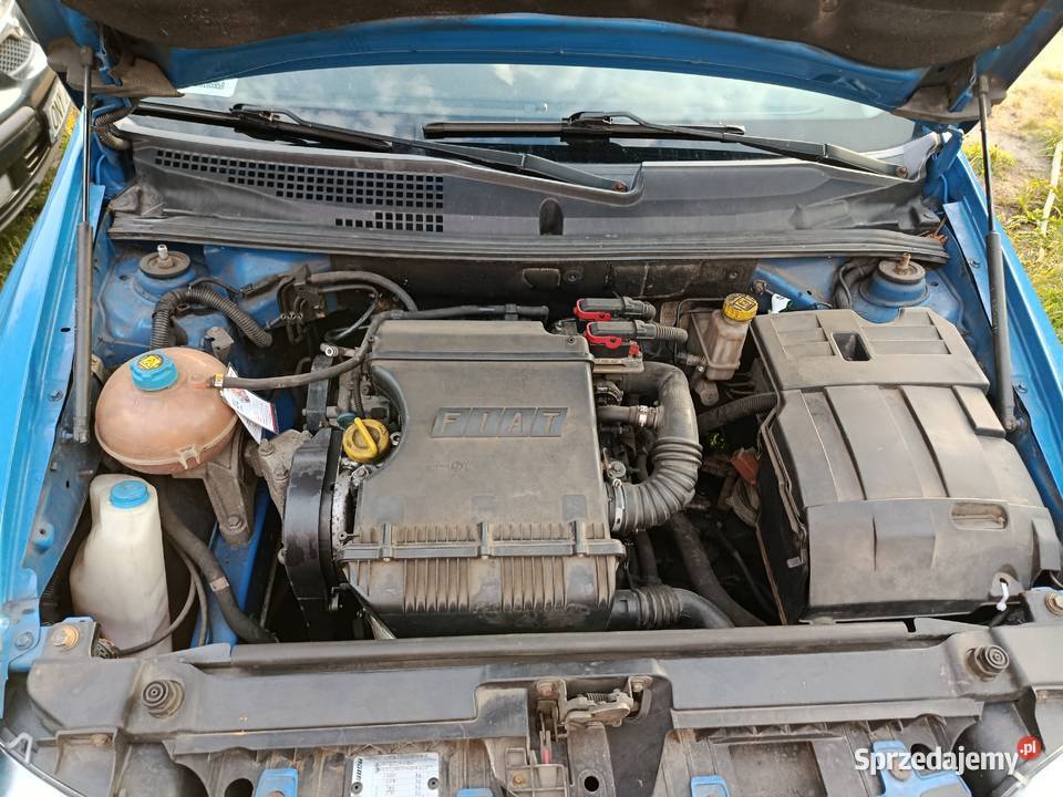 Fiat Stilo 14 95 kW 2004 r dawca części Rok produkcji 2004 Części samochodowe wielkopolskie Szklarka Myślniewska