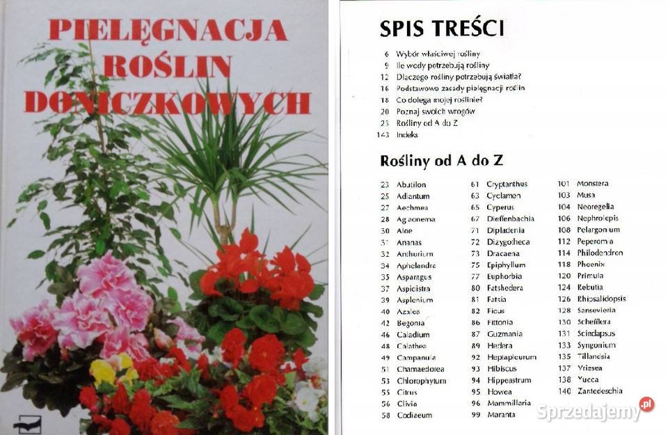 Pielęgnacja roślin doniczkowych Beata Przybylska Kielce