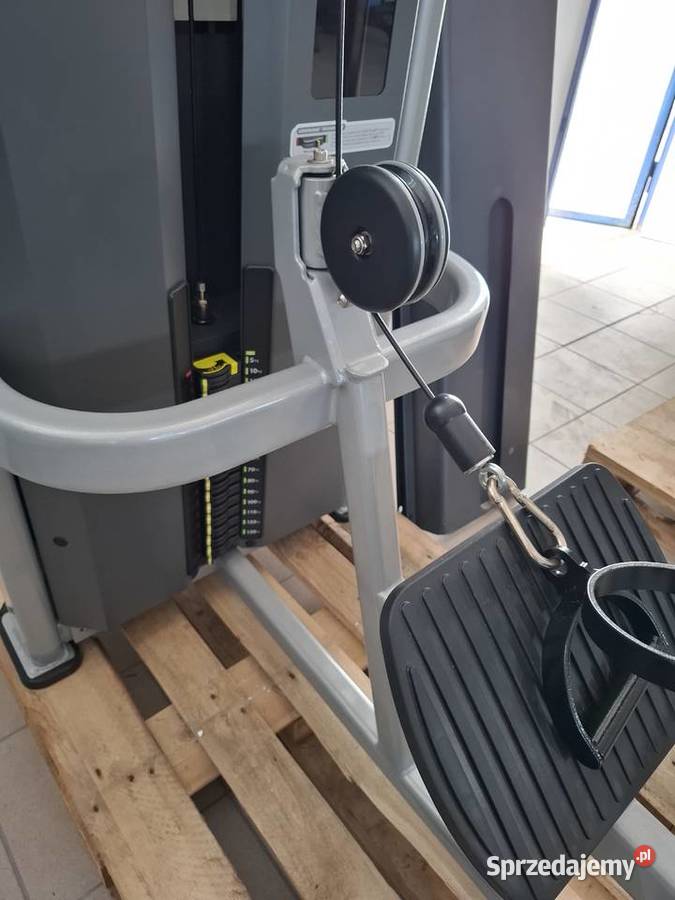 Maszyna do wiosłowania Nautilus Impact Low Row Wałcz