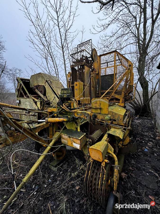 Kombajn buraczany Kleine 5002 automatic Kazimierzewo