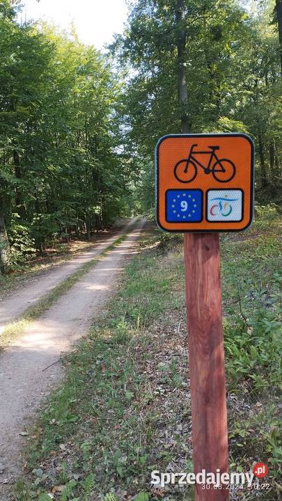 Oznakowanie szlaków leśnych ścieżek rowerowych Kościerzyna
