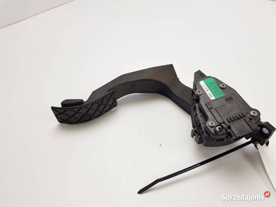 PEDAŁ 4E1723523H A8 kujawsko-pomorskie Lipno