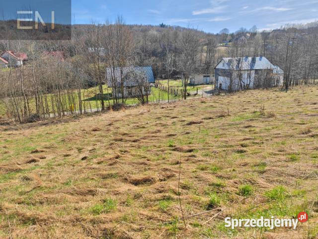 sprzedaży gruntu Wesoła 2500m2 asfalt Sprzedaż