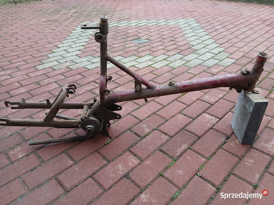 Żak rama wielkopolskie Września