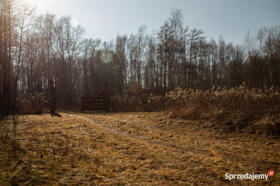 Siedlisko w Joninach z działkami 35 hektara Joniny