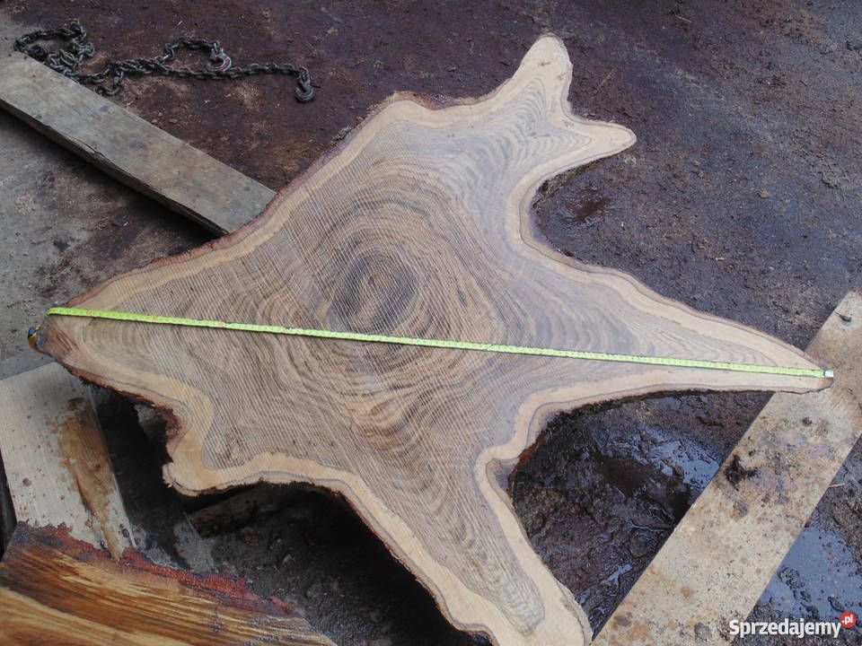 Bruk drewniany kosta drewniana pieńki plastry do Izdebnik