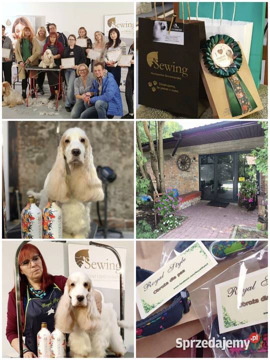 Szkolenie GROOMERÓW pod Wwą mazowieckie Duży Dół